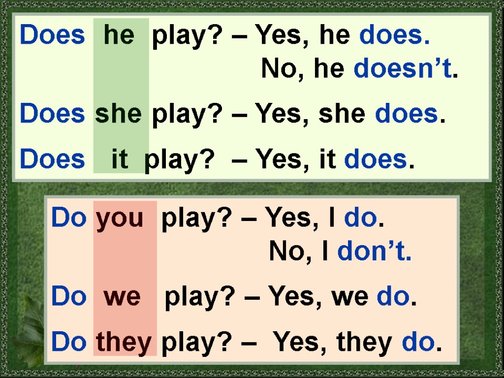 Does he play? – Yes, he does. No, he doesn’t. Does she play? –